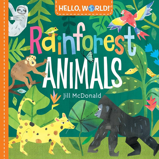 Rainforest Animals