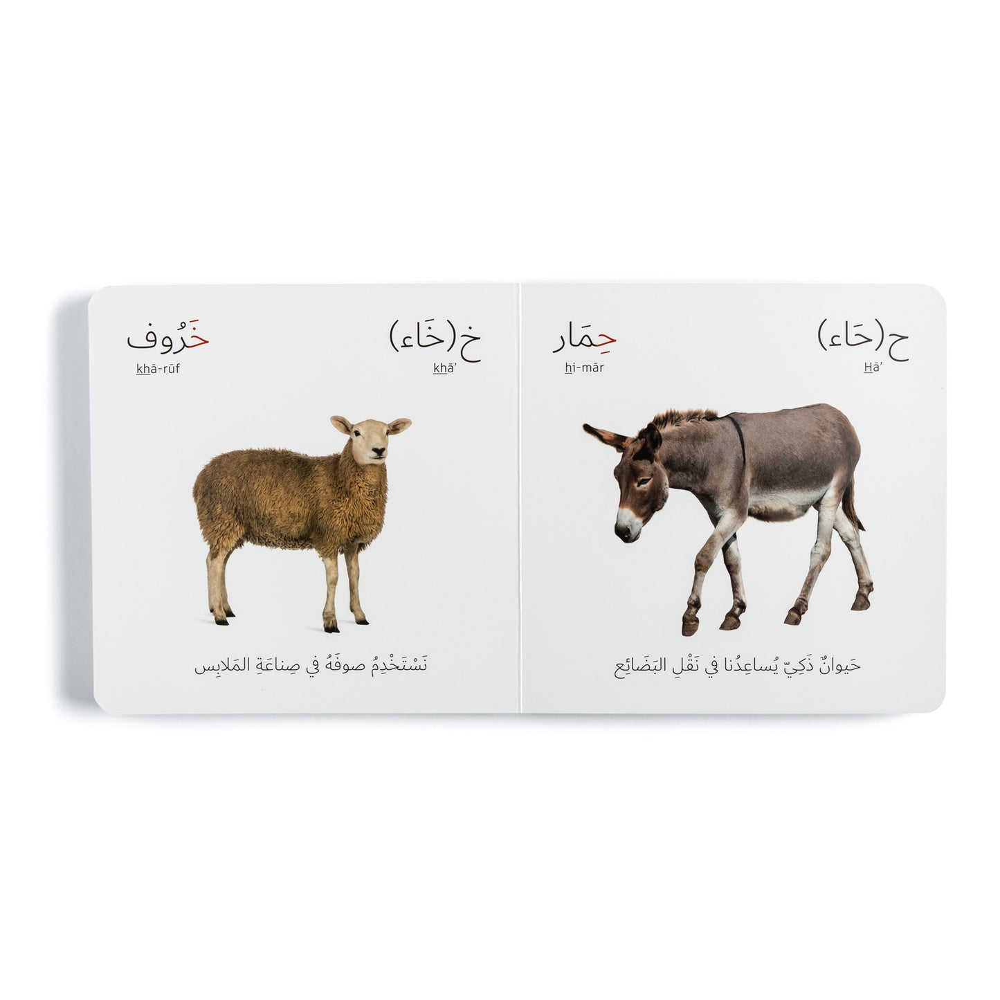 Arabic Animal Alphabet