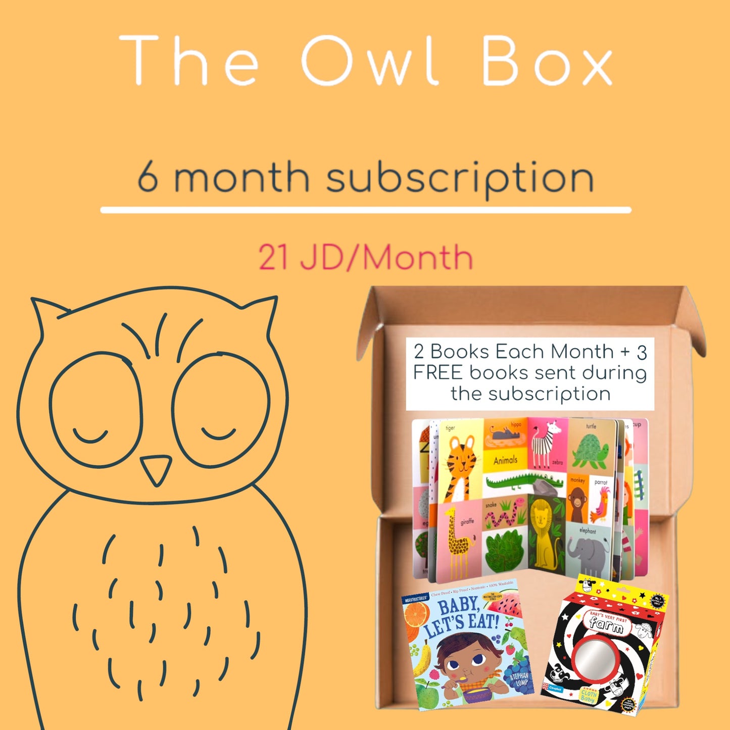 6 month subscription